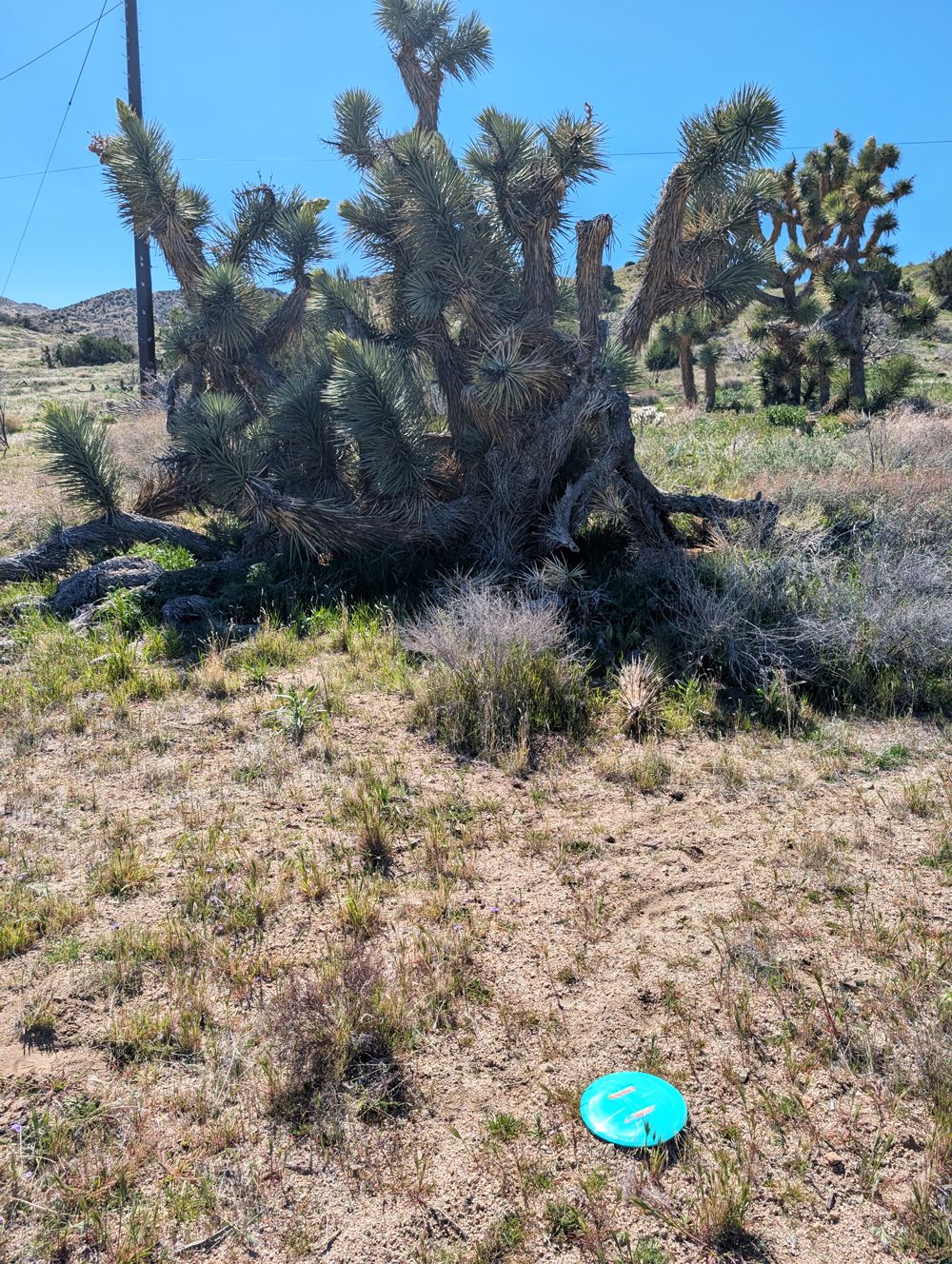 Hole 3 fairway left guardians