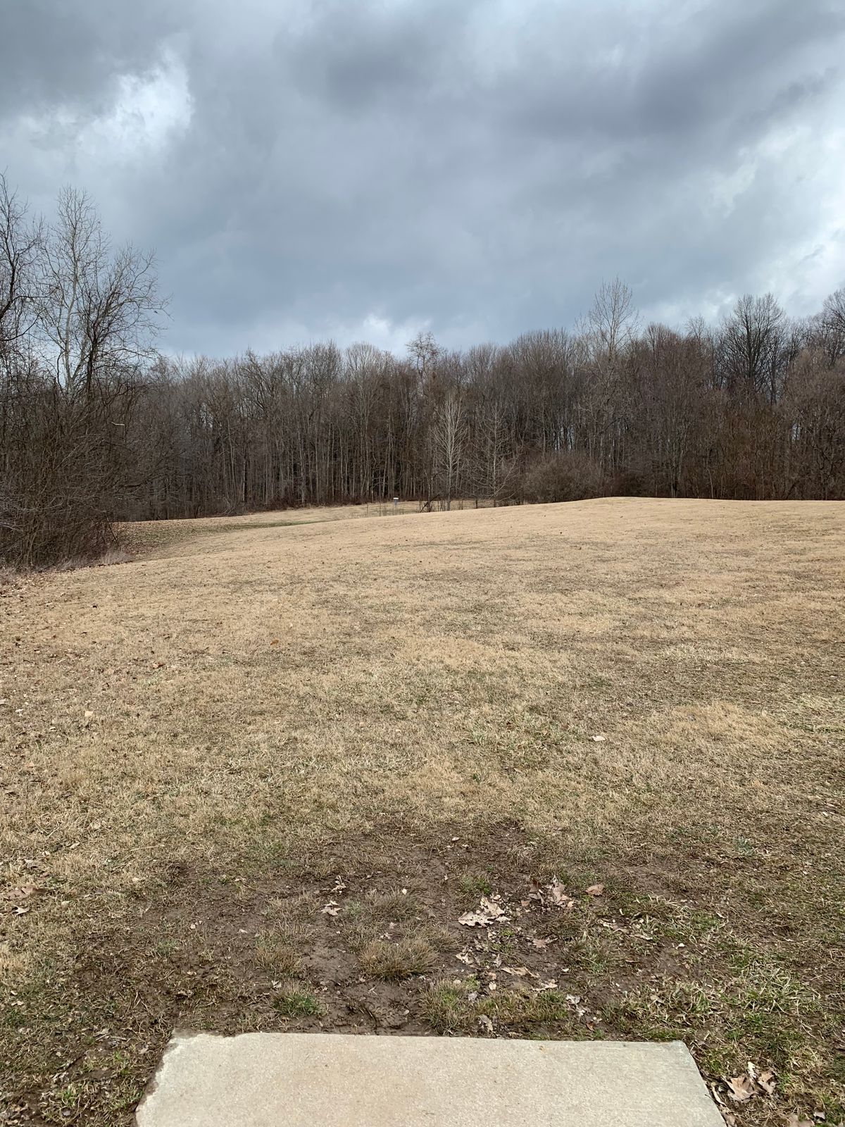 Hole 11 Tee