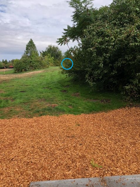 Hole 9 basket location