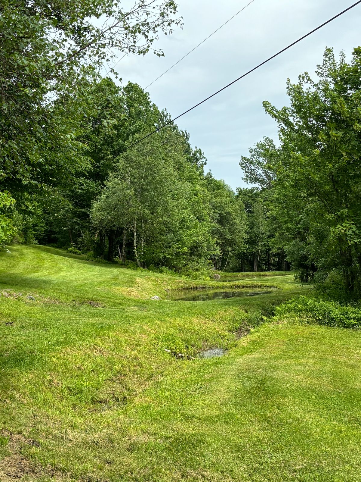 Hole 18 gold tee