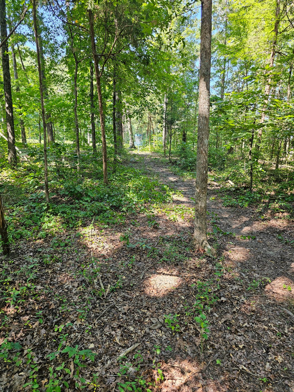 Hole 9's fairway