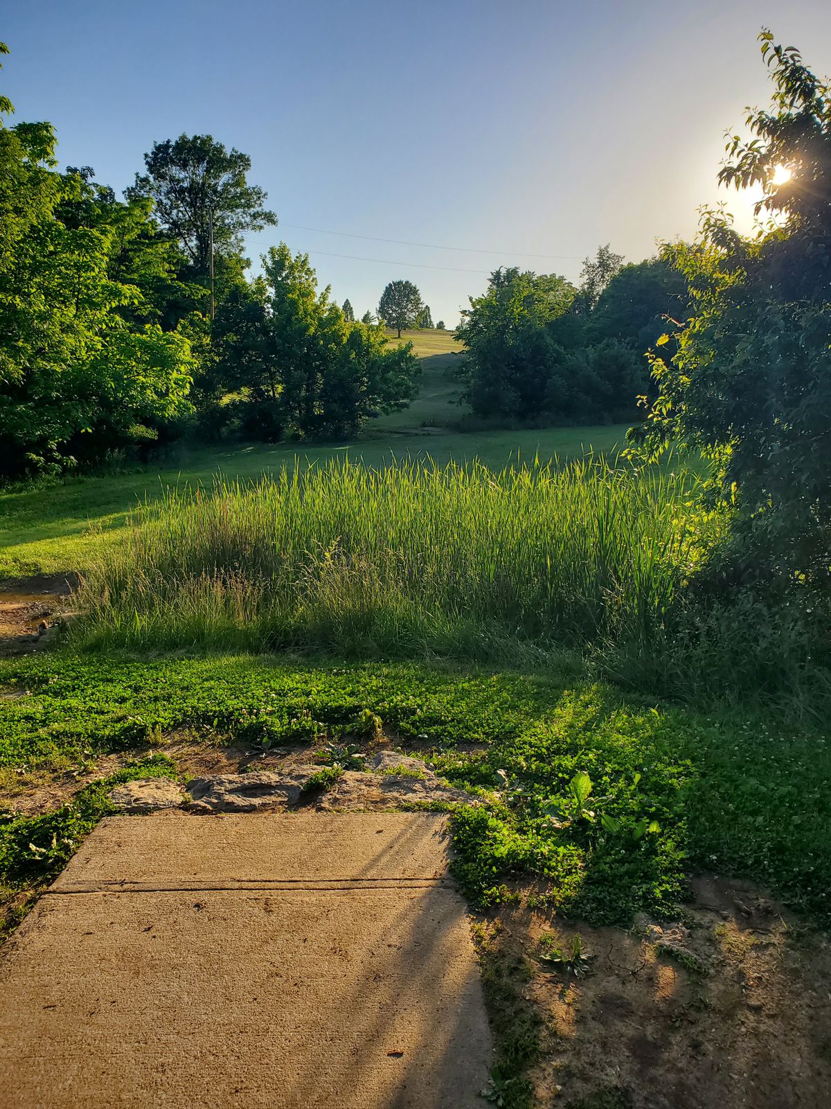 Hole 16 Short Tee Pad