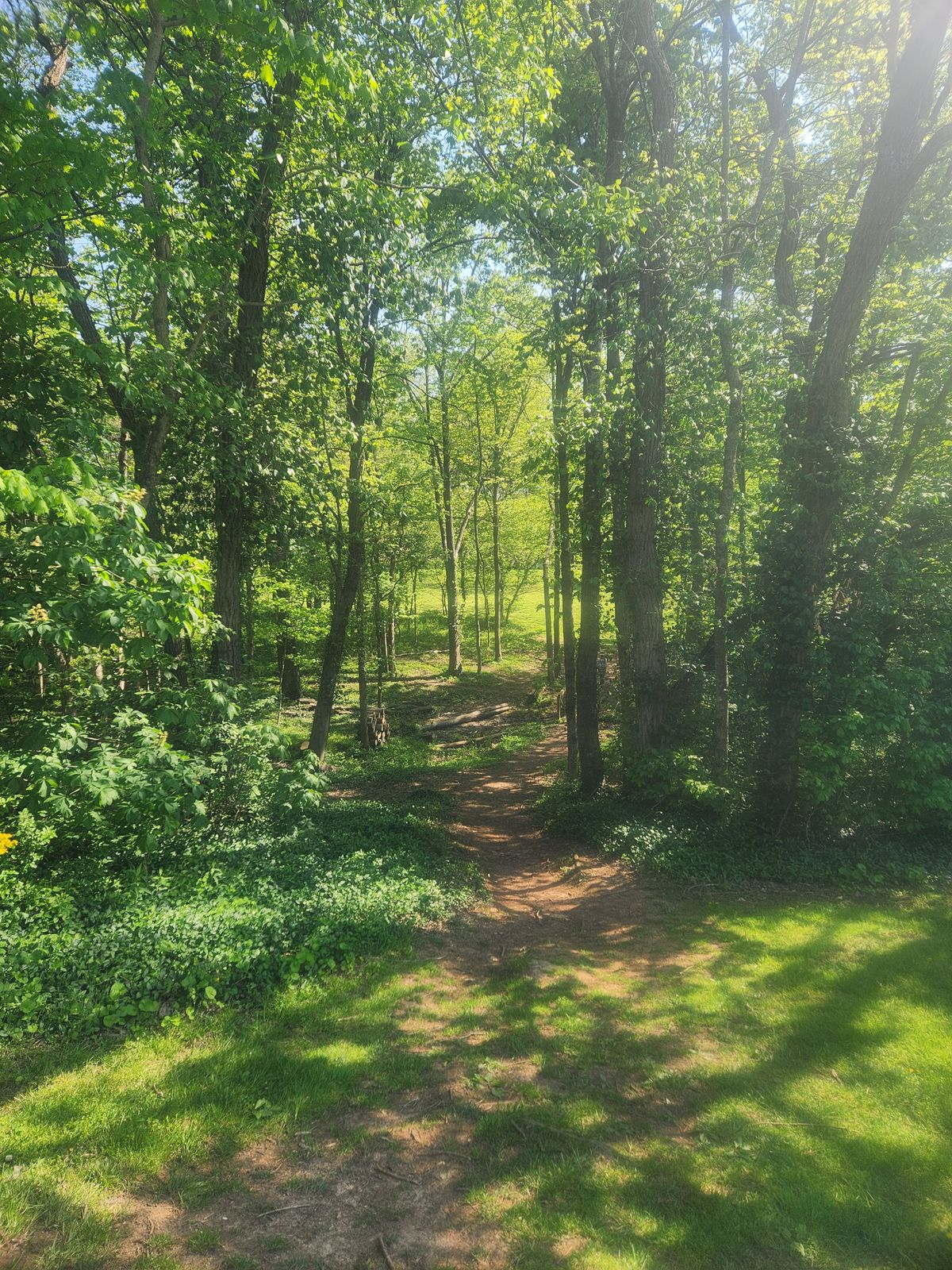 Hole 3