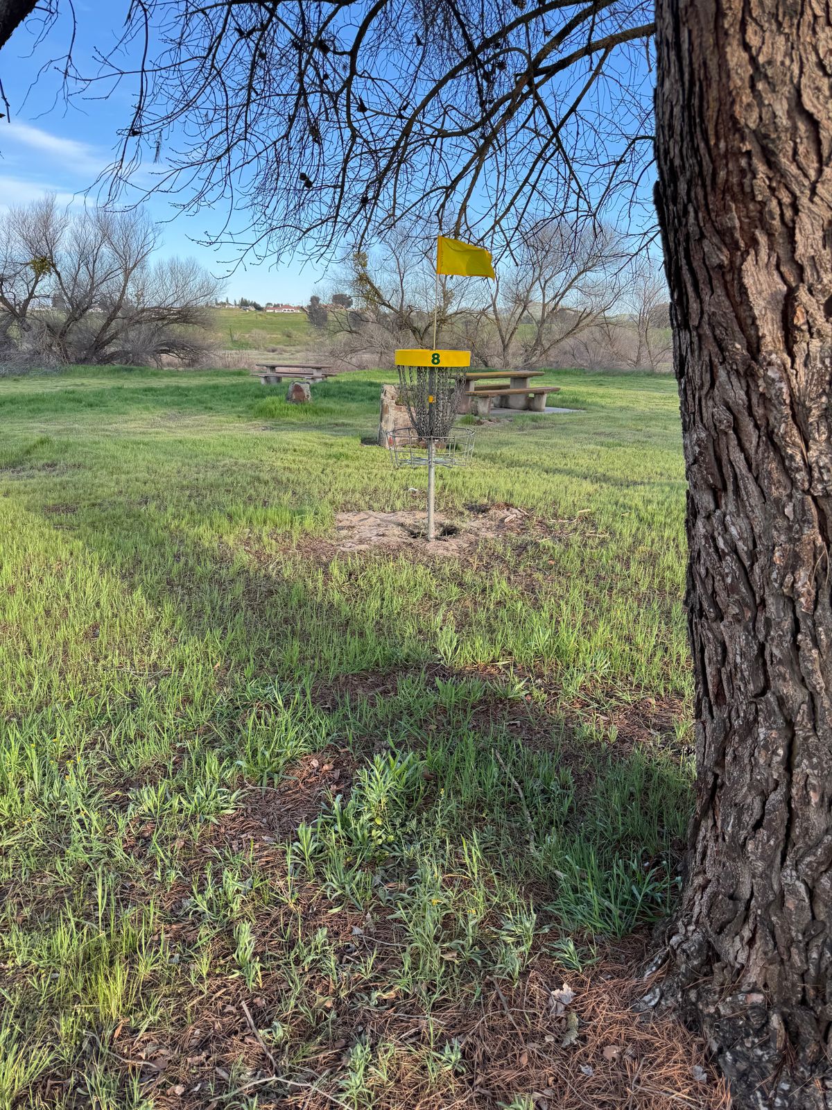 Hole 8