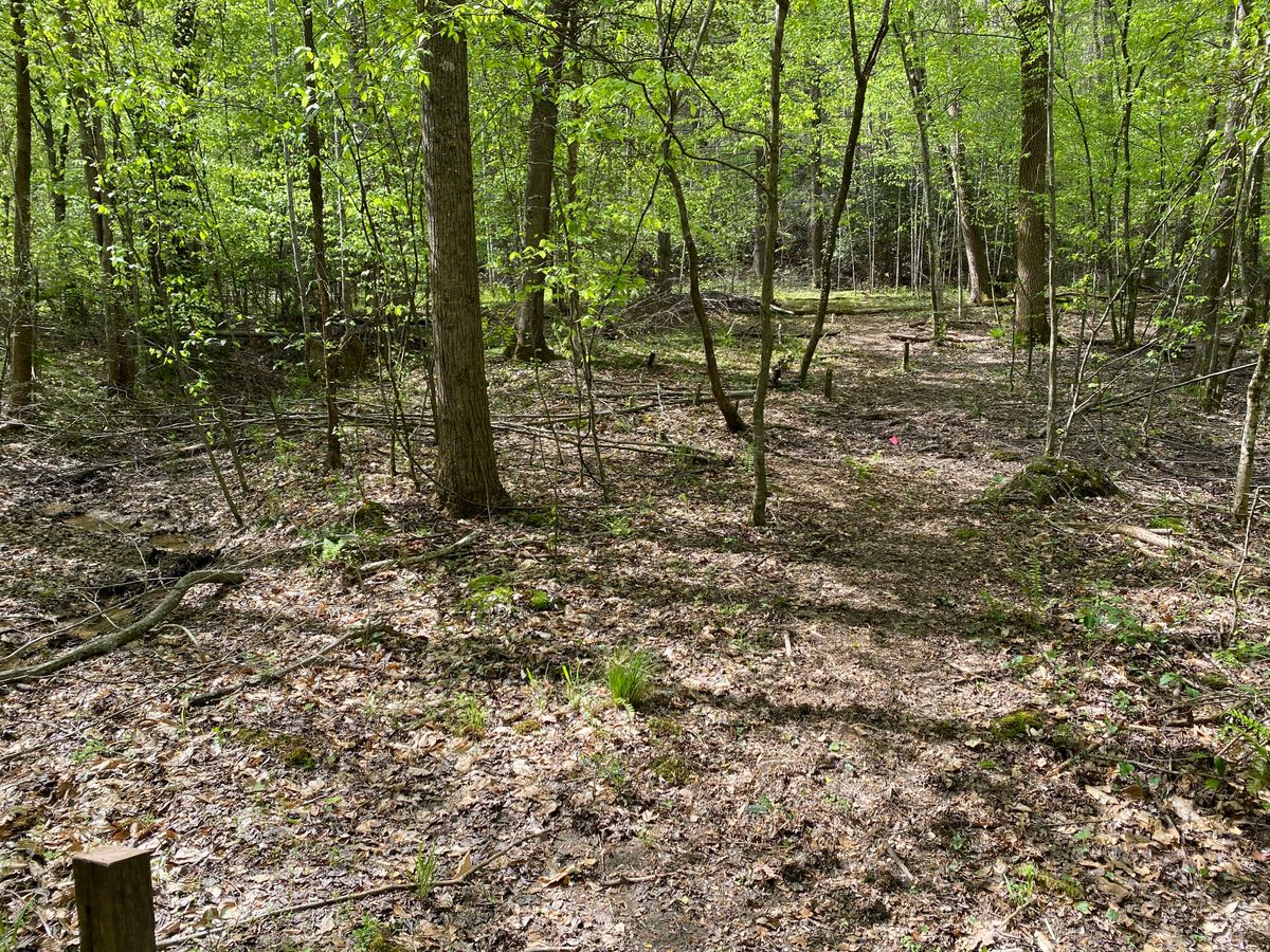 Hole 13. Hard left angle.