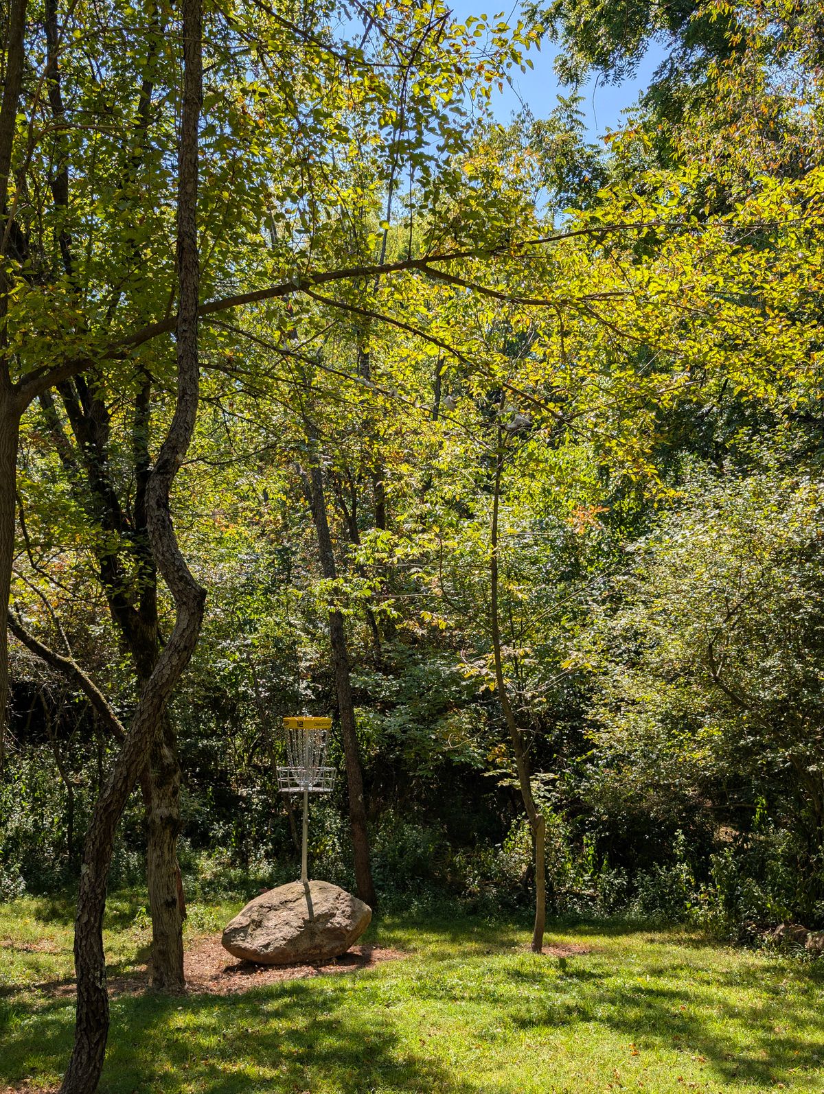 Hole 12s Green