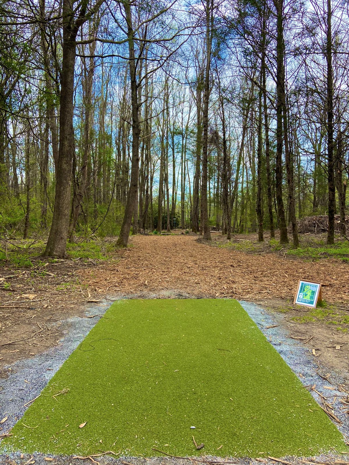 Tee of hole 12