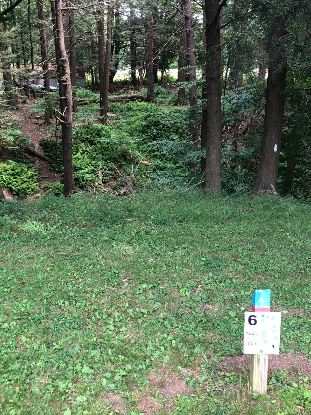 #6B/R (Be aware of a small stream running through this hole)