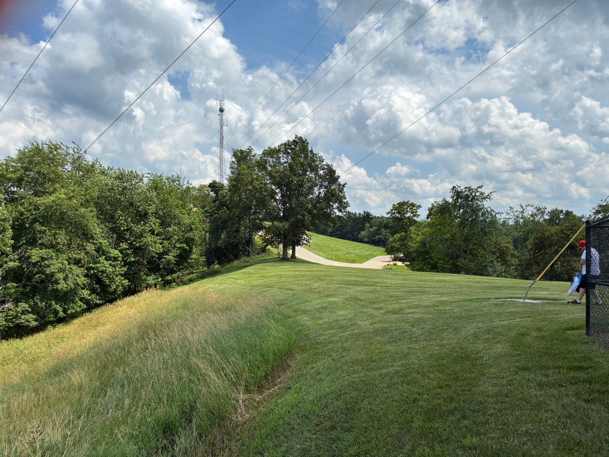 #2 Tee box. One basket behind tree.