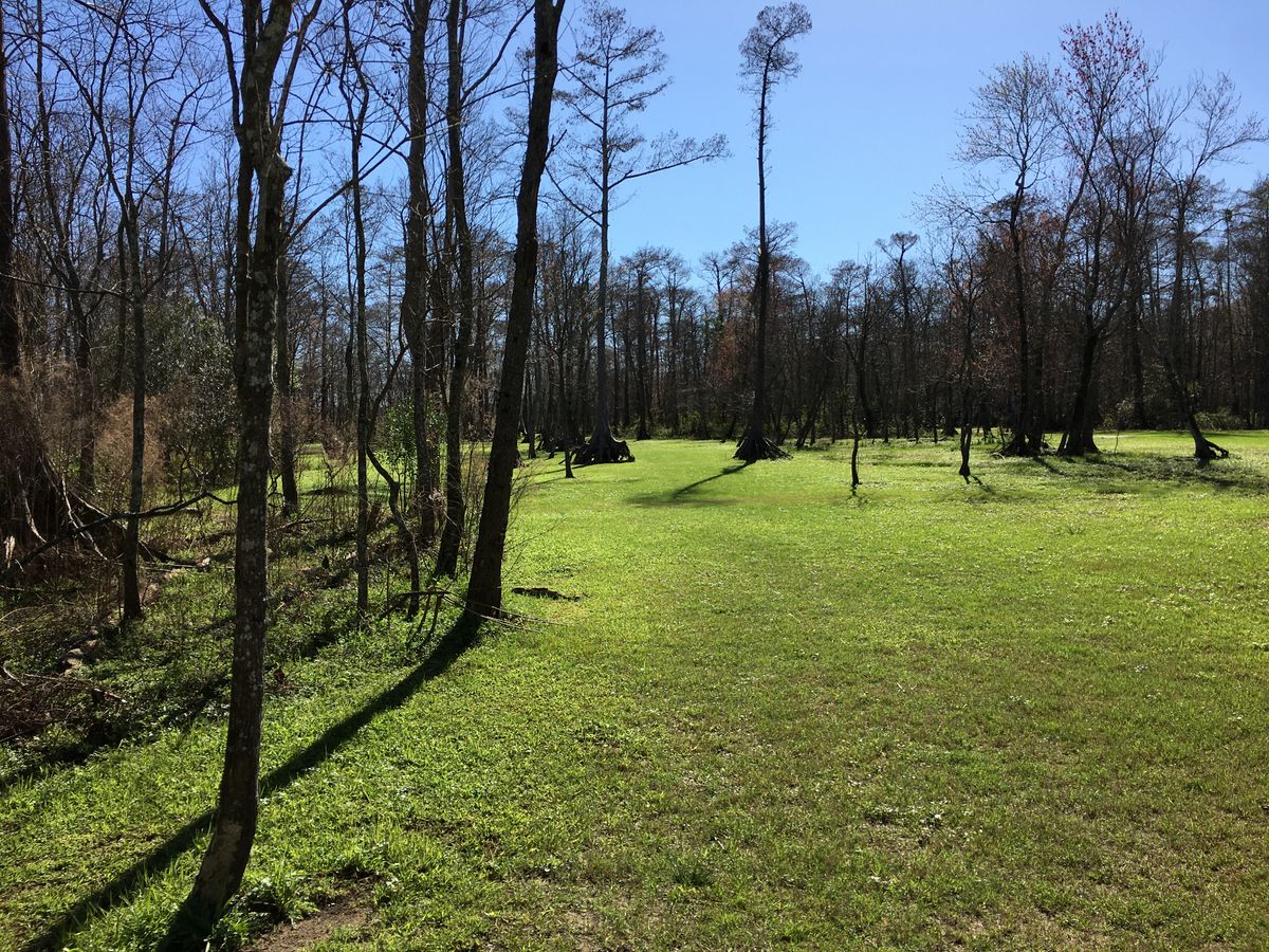 Hole 10 Red Tee