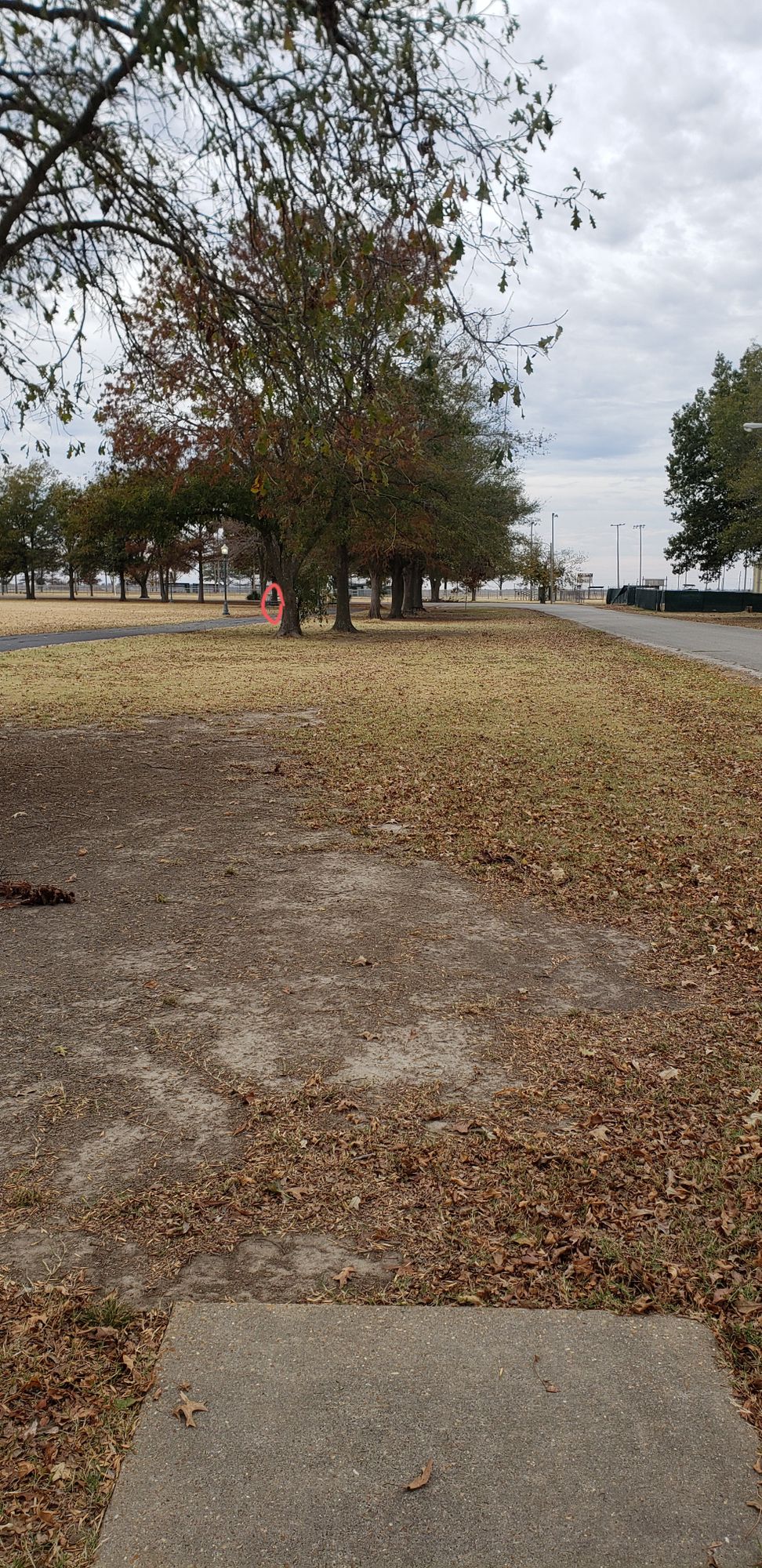 Hole 4 - Main basket location