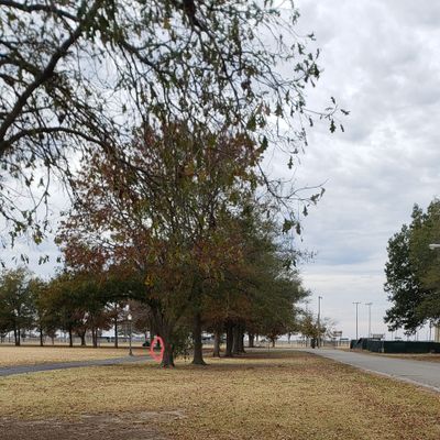 Hole 4 - Main basket location