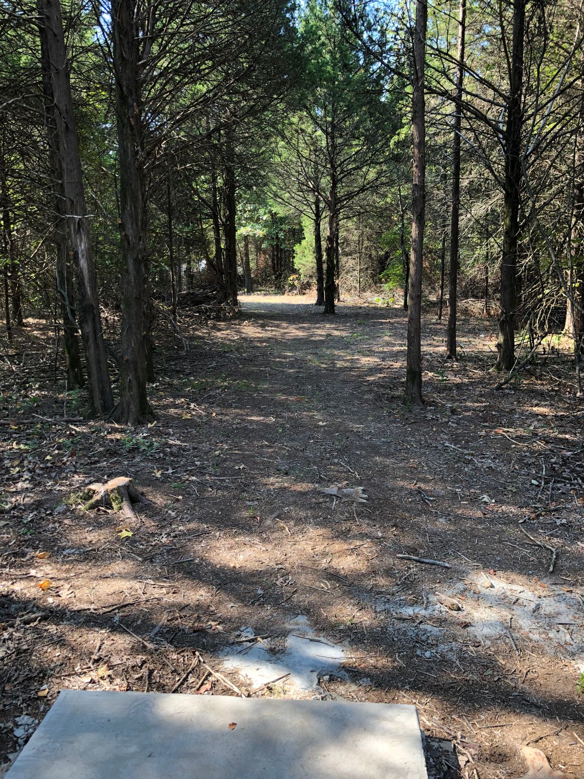 Hole 6
