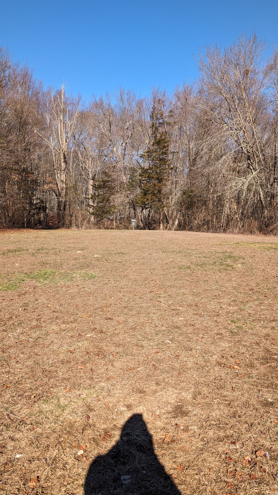 Holes 5 and 6 are wide open.