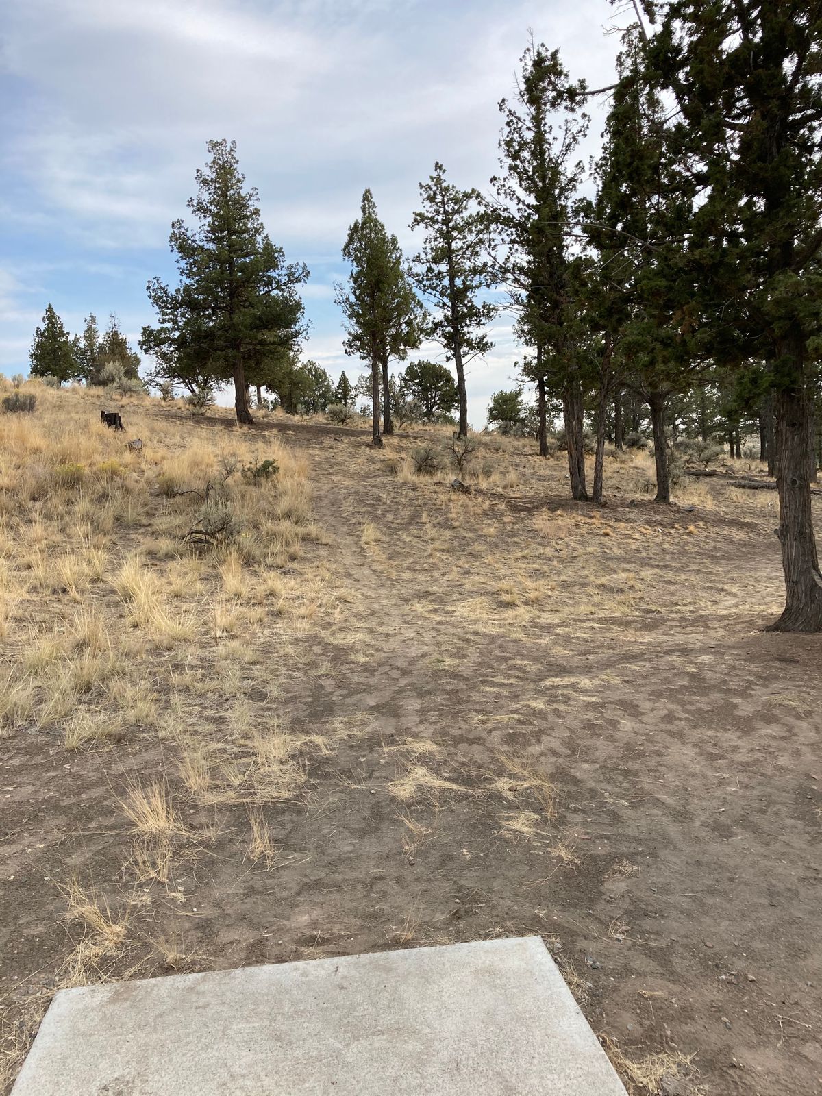 Hole 6