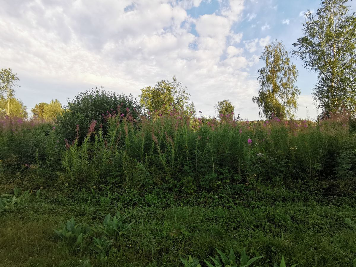 Väylä 9