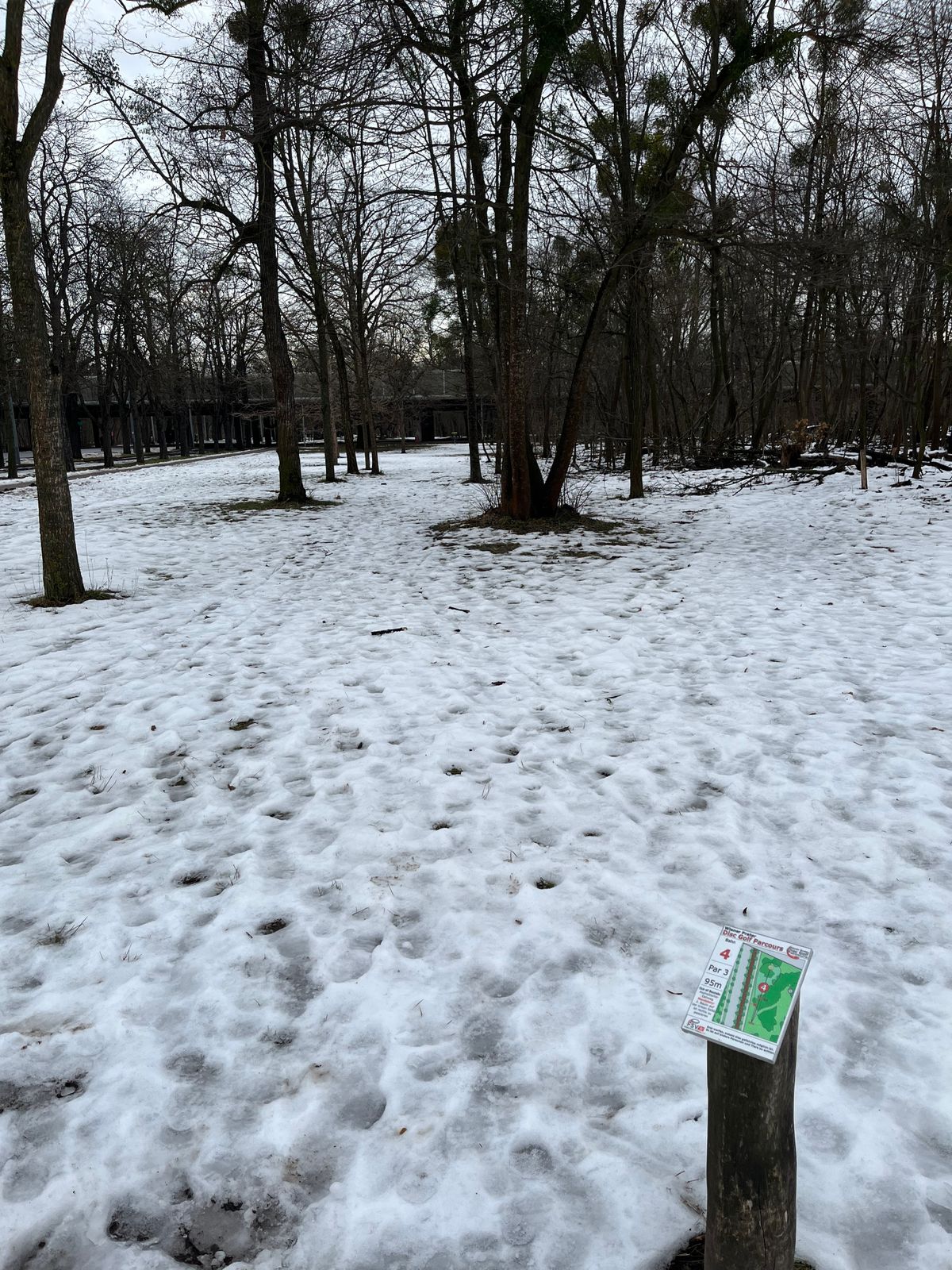 Hole 6
