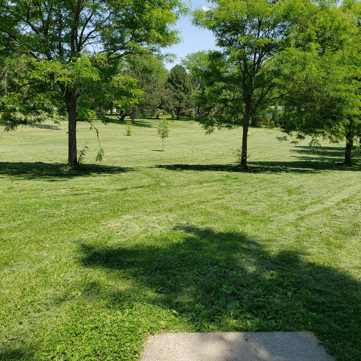 Hole 5