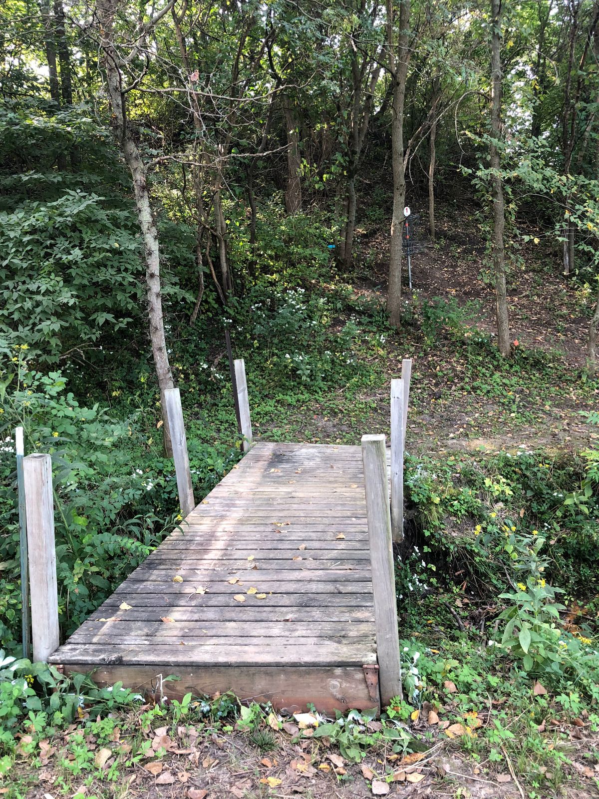 Some bridges in place
