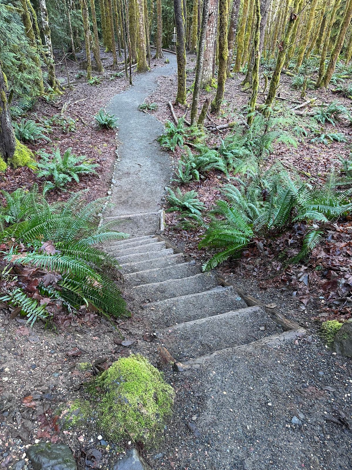 Well maintained stairs