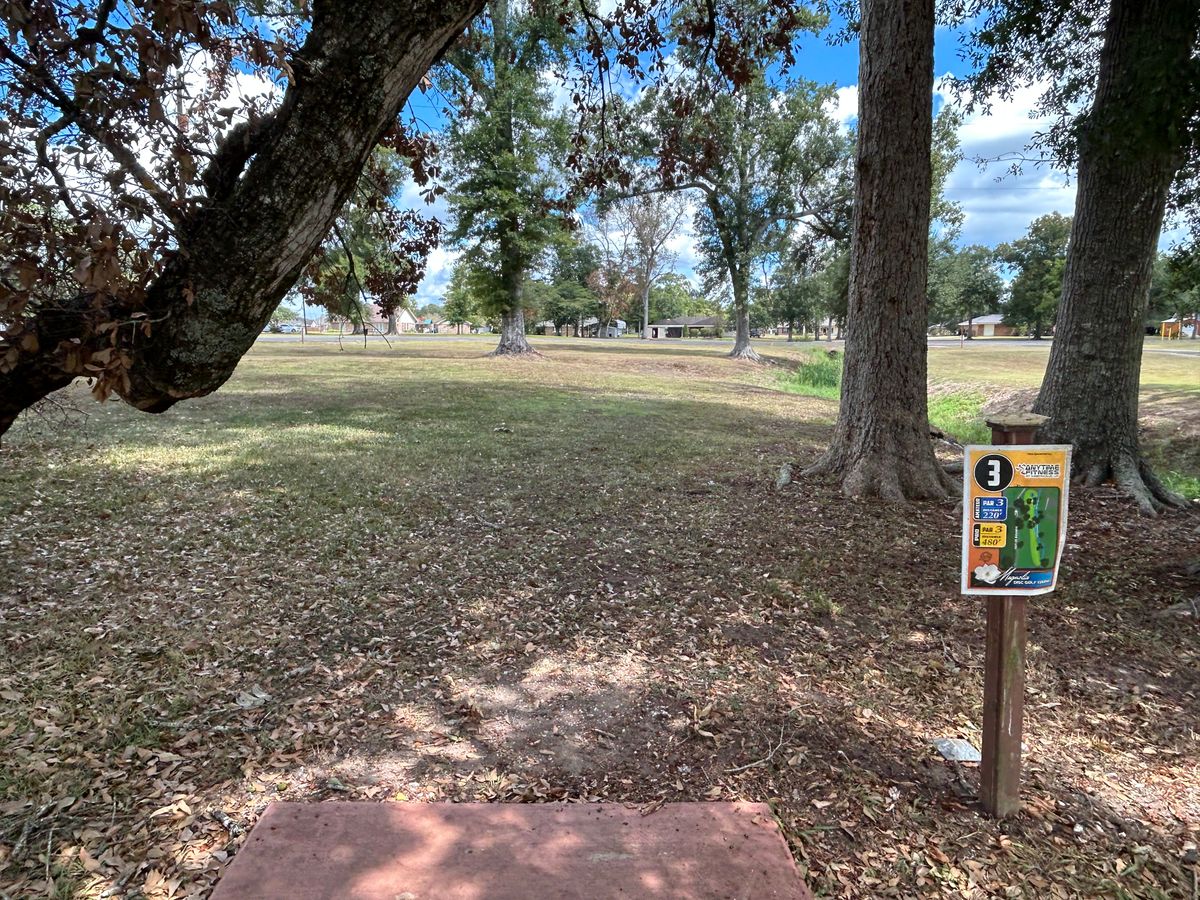 Hole 3 Fairway