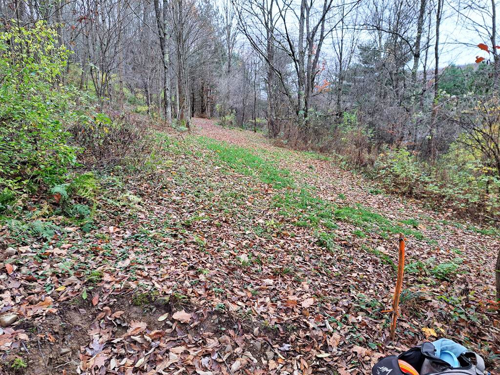 Hole 5 Short