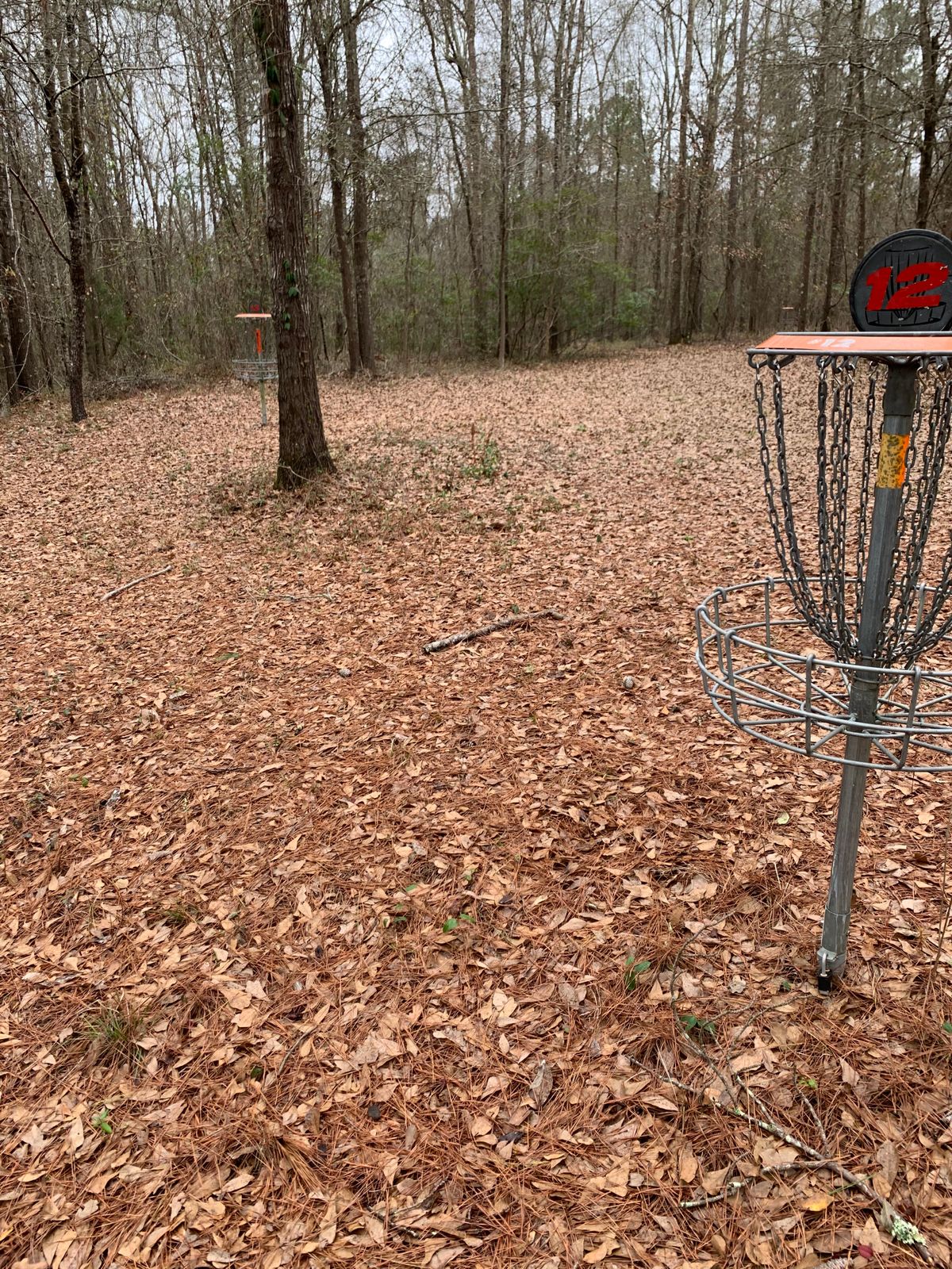 Pins 12 and 13 are literally next to each other. Could find Hole 13 Tee.