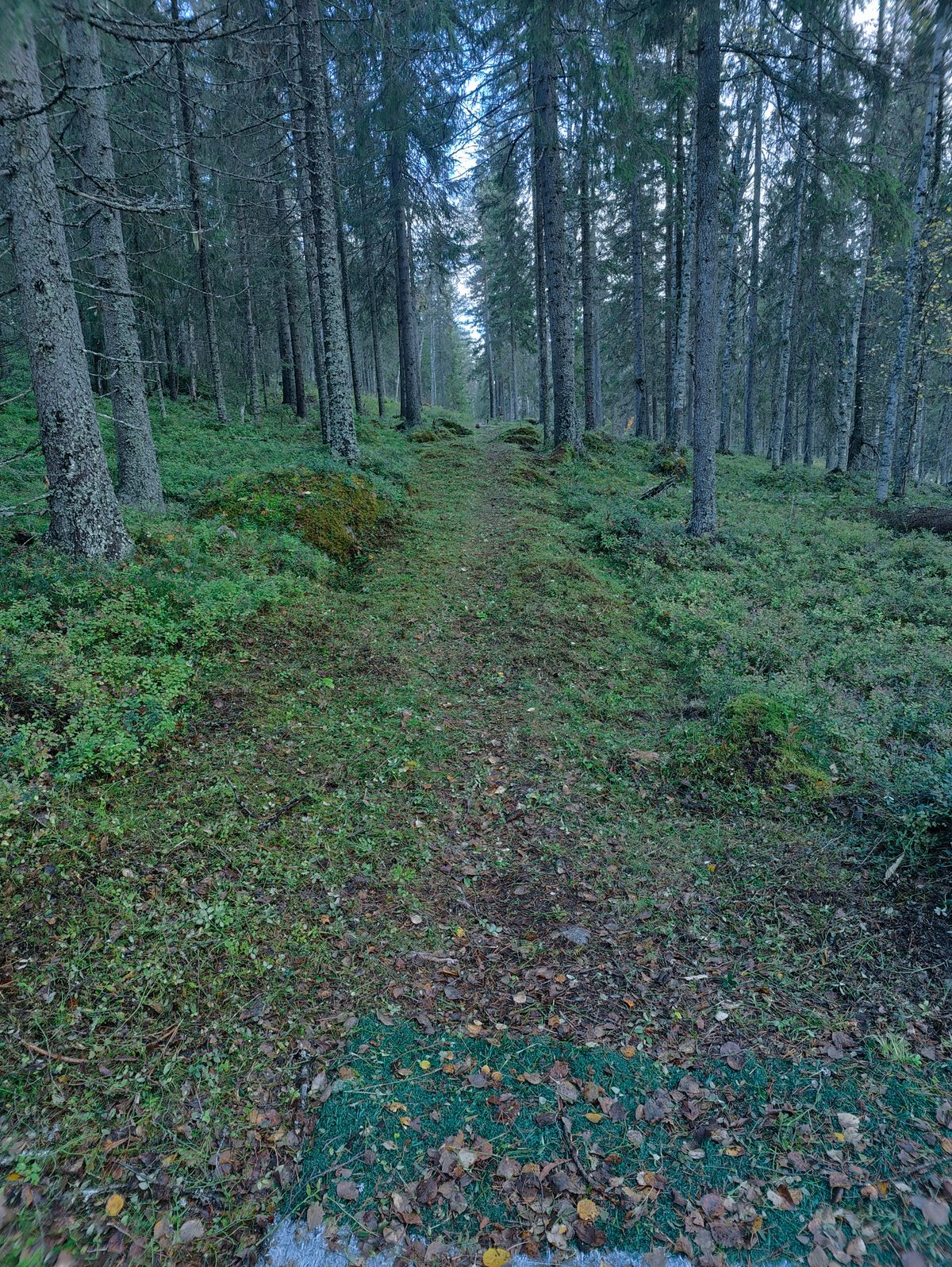 Utkast hål 2