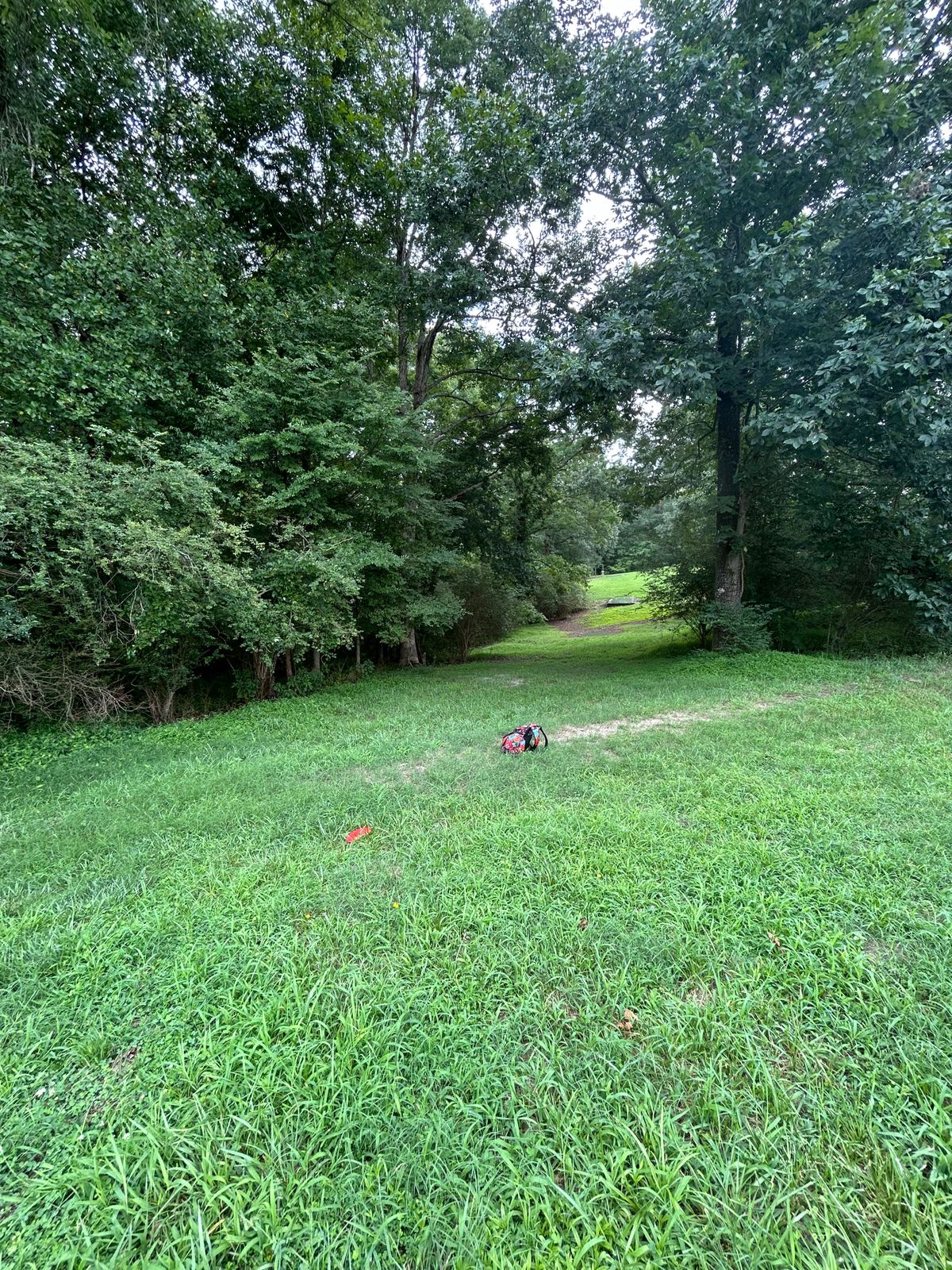 16 Landing Zone Looking Back at Tee