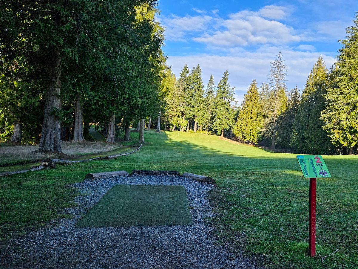 Hole 2 tee pad
