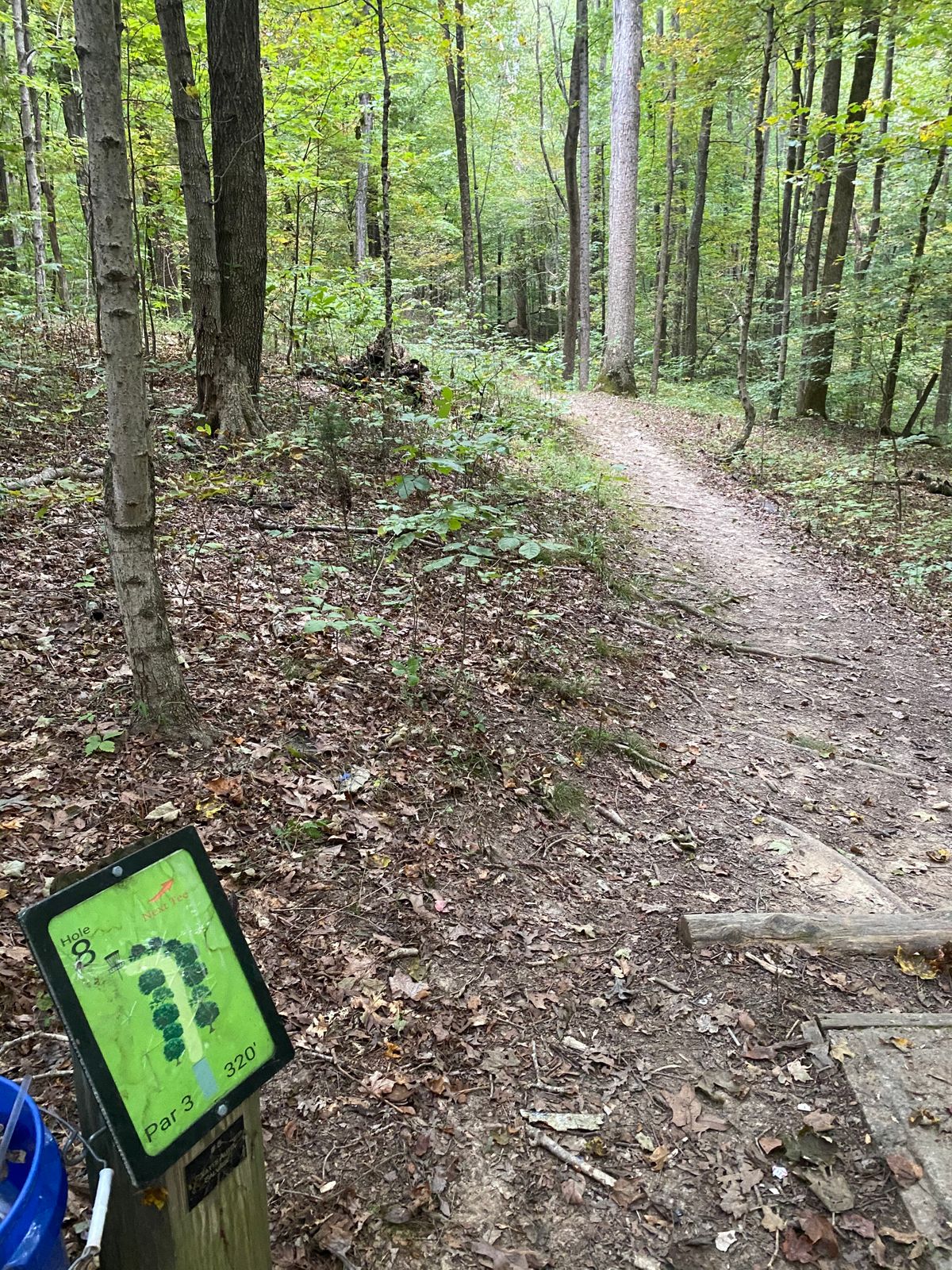 Hole 8