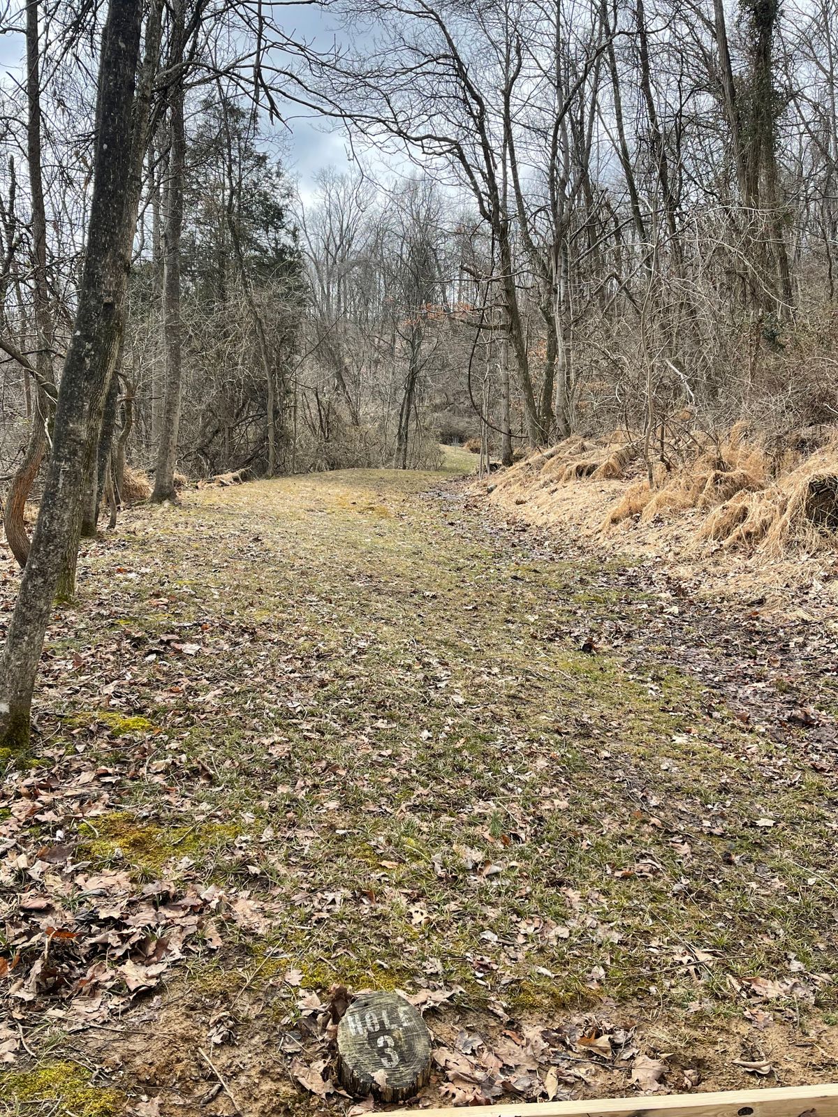 Hole 3 (Teebox)