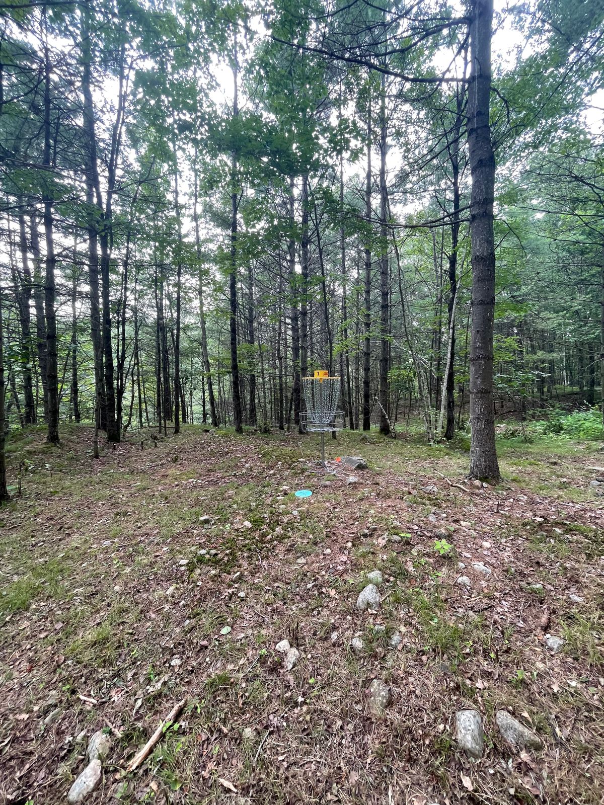 Hole 7