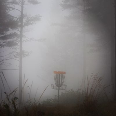 Sometimes when you lose your way in the fog,  you end up in a beautiful place.