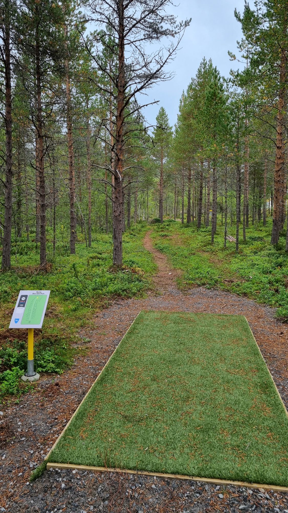 Tee 16