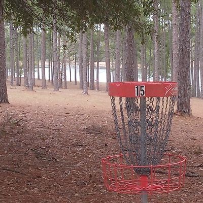 15 with #1 basket in background