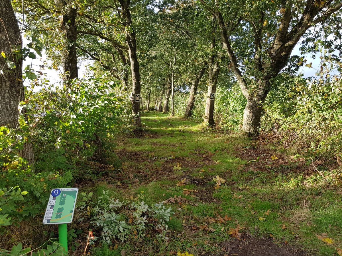 Hole 9