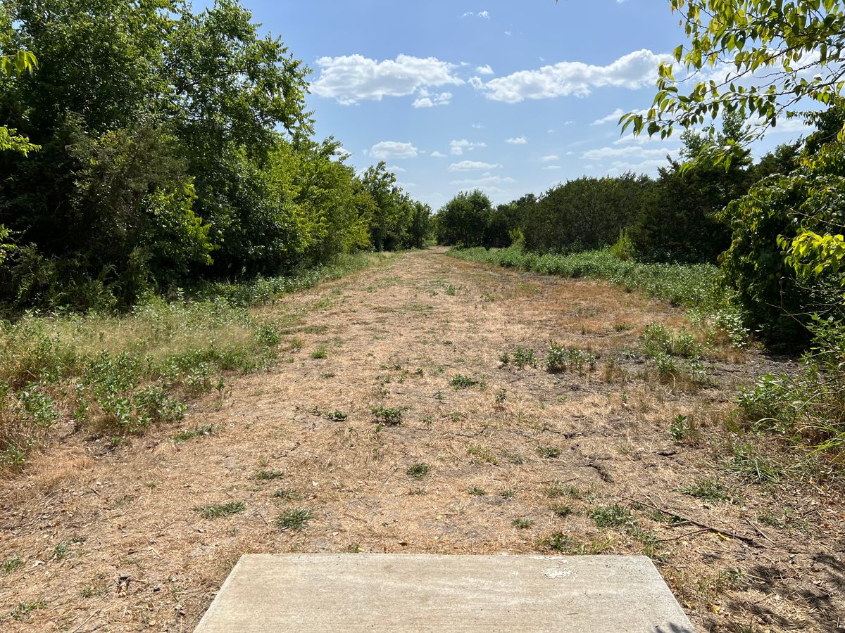 Hole 12 tee