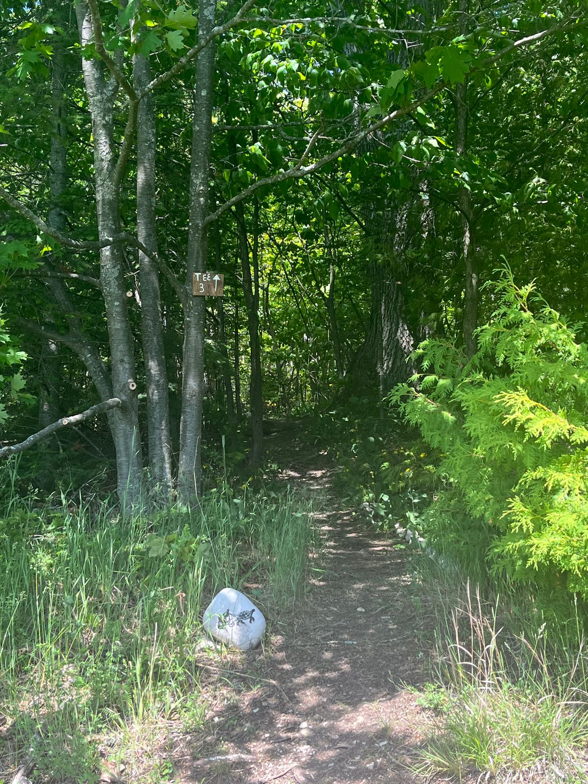 Path to tee 3