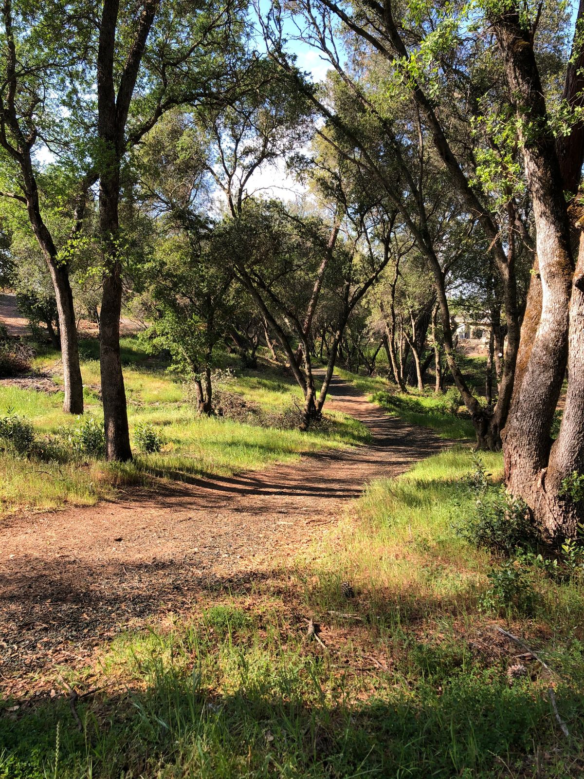 Hole 6