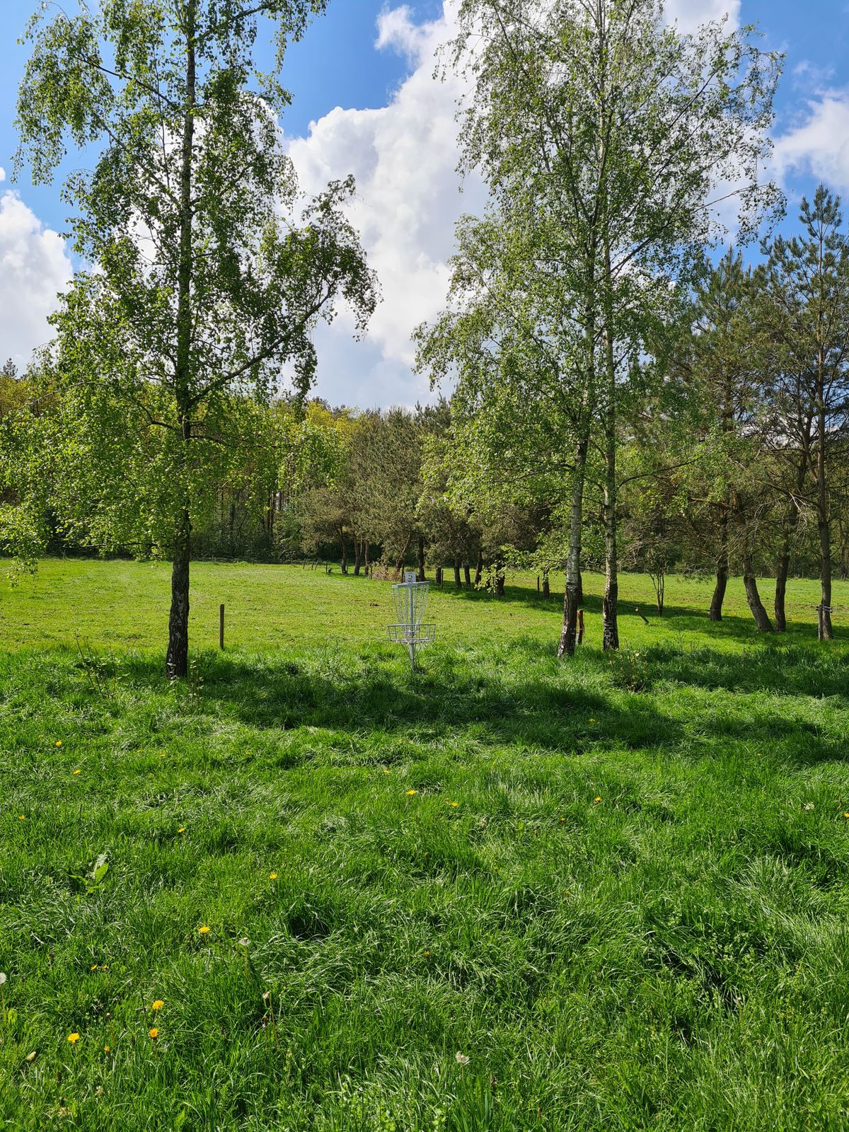 Basket hole 5