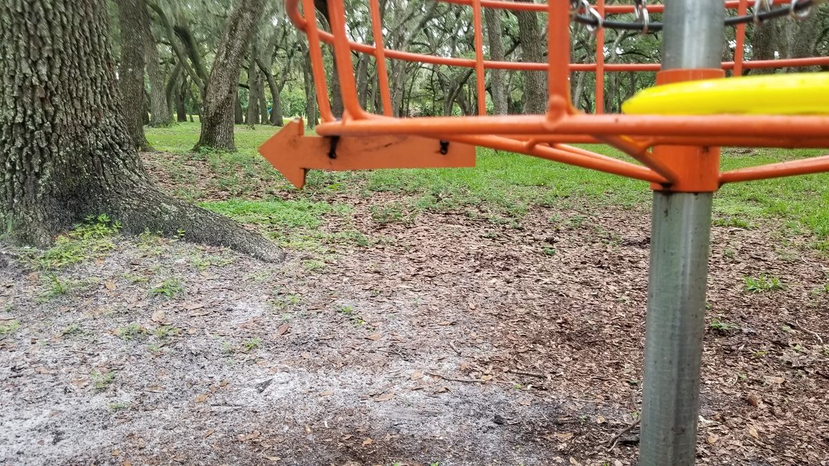 Arrow to next tee on most of the baskets.