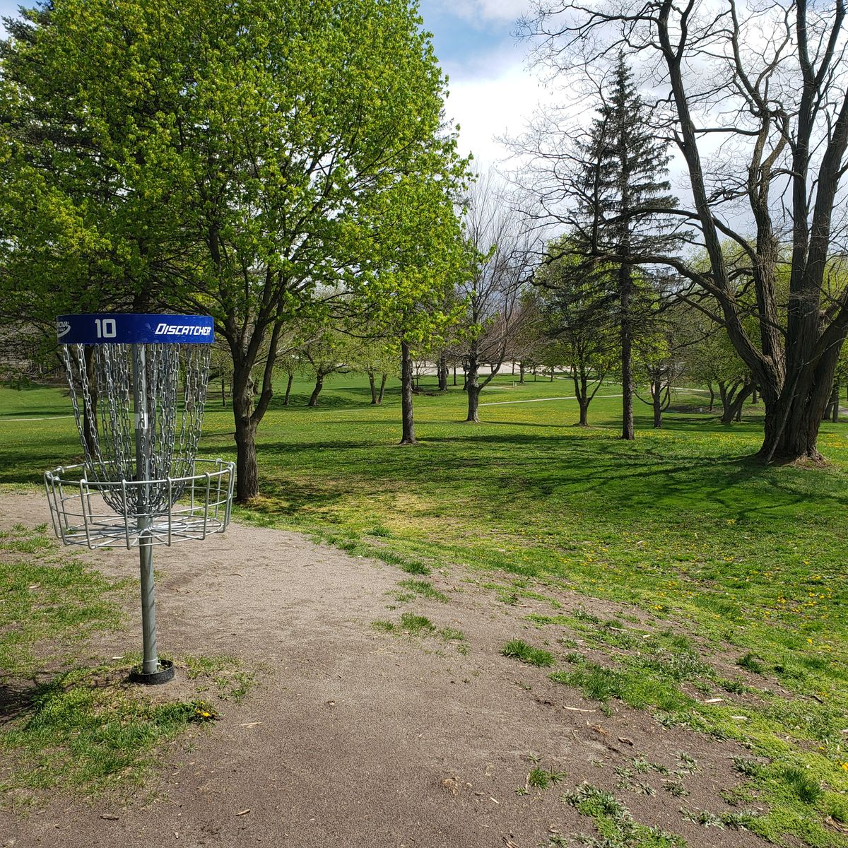 Hole 10 Basket with a field of gold