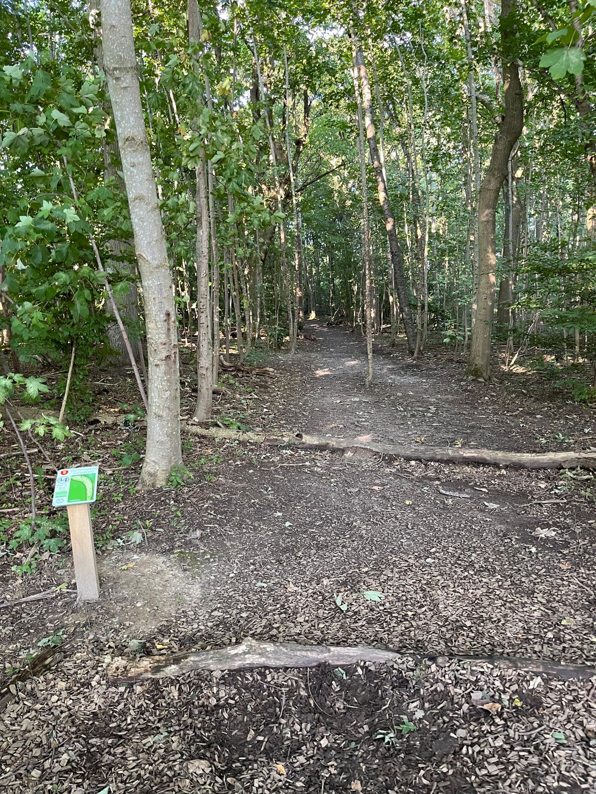 Hole 14