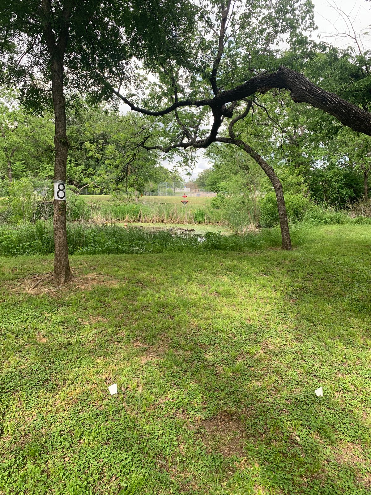 Hole 8