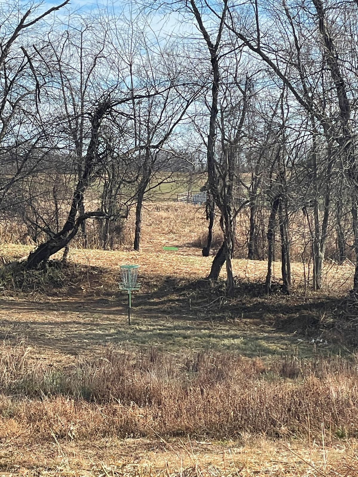 Hole 4 looking back to tee