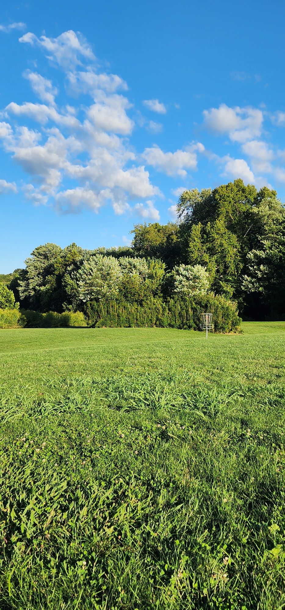 Hole 6
