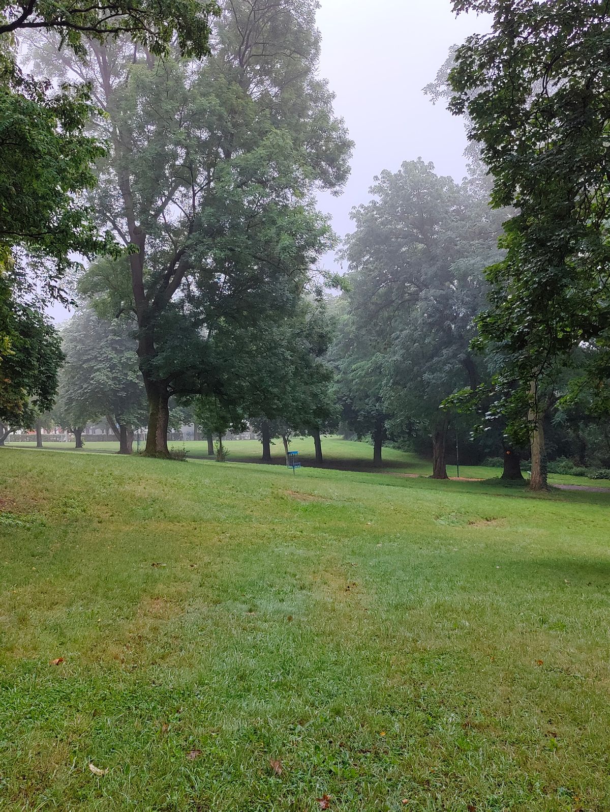 Hole 3