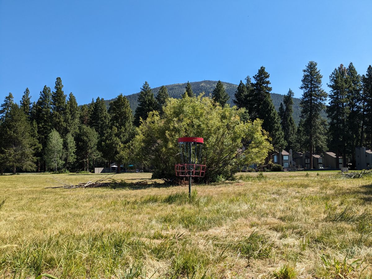 Basket #4 with Black Butte as a backdrop