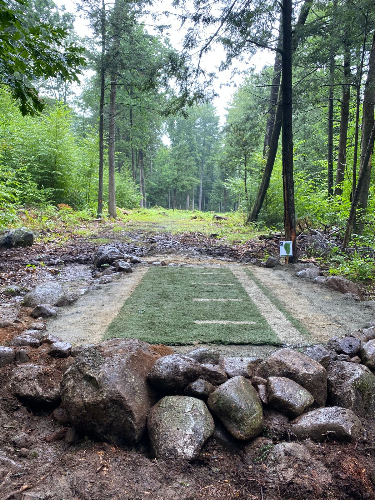 Hole 8 tee
